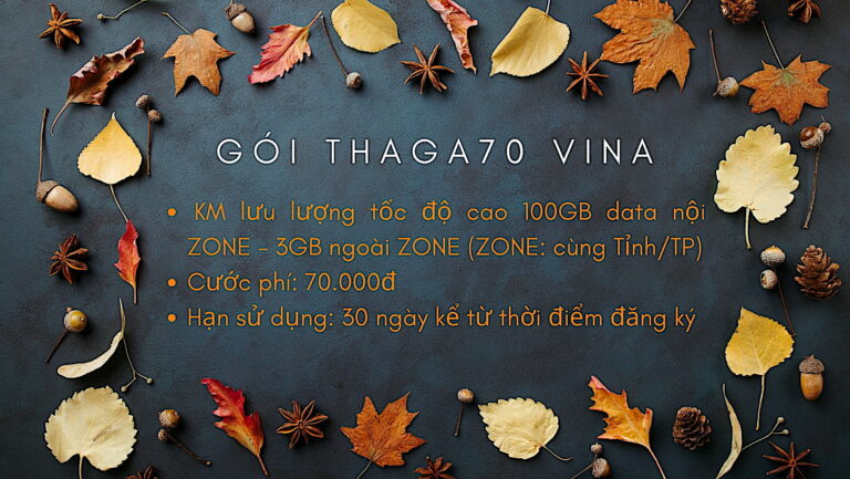 Goi THAGA70 Vinaphone co 3GB ngay tha ga vao mang chi 70k Viết bởi