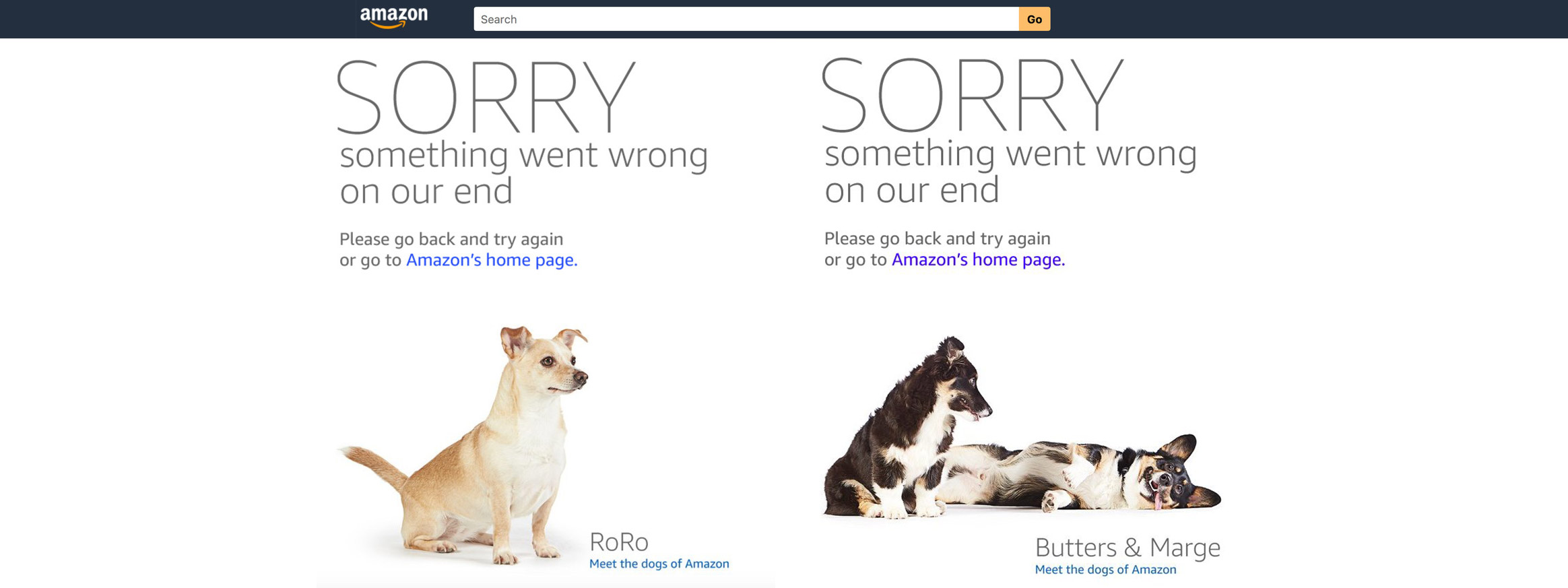 Web bị sập, Amazon sử dụng những chú chó dễ thương làm thông báo lỗi