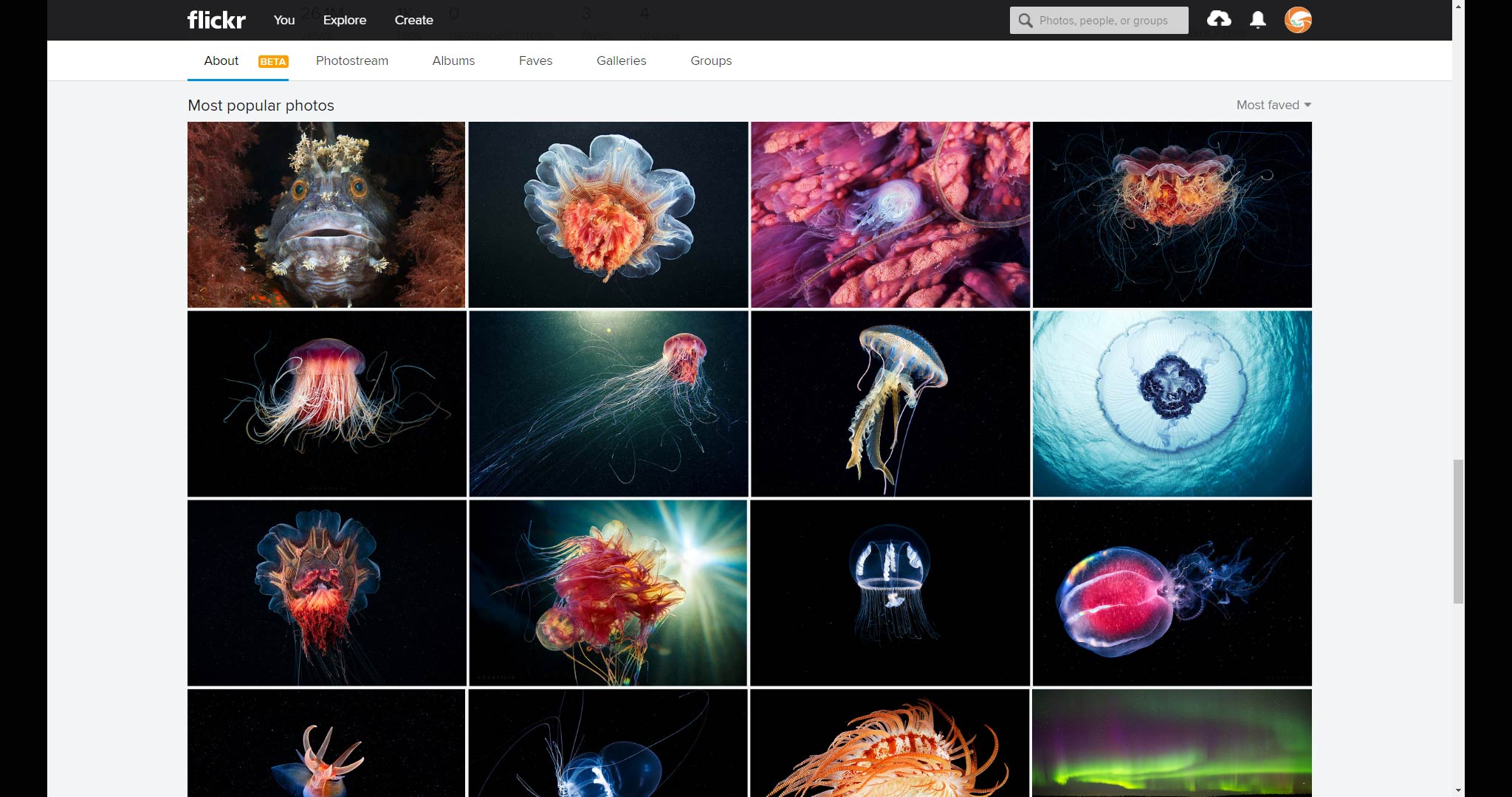 Flickr vừa thiết kế lại trang profile, có thể dùng để khoe portfolio của bạn
