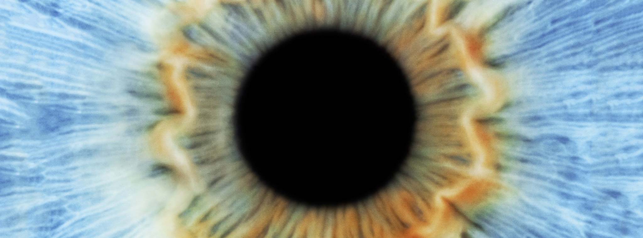 Phần Lan phát triển mống mắt nhân tạo có thể phản ứng với ánh sáng như mắt người