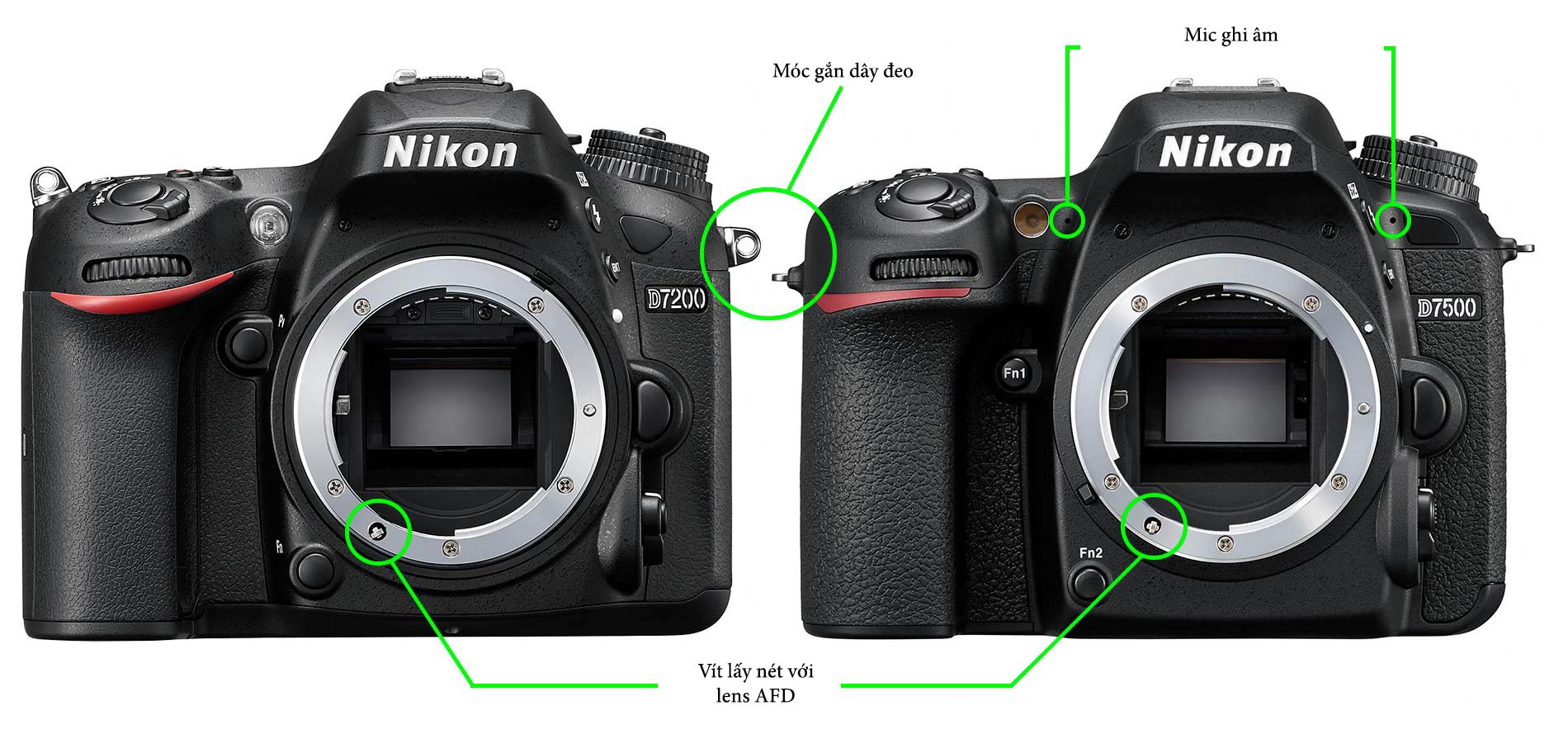 Đang tải Nikon-D7200-and-D7500-no-lens-front-2.jpg…