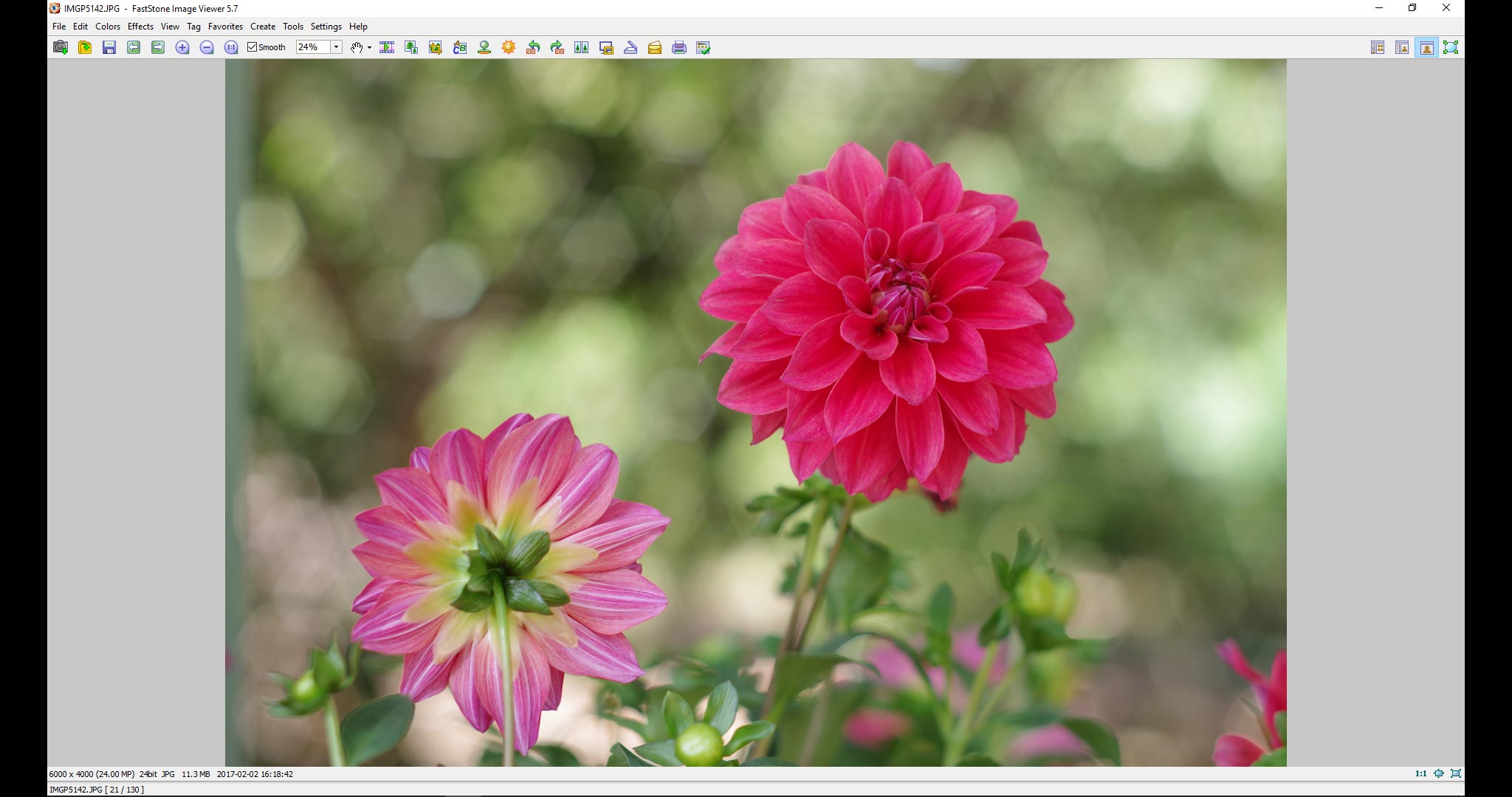 Quản lý hình ảnh trên Mac hoặc Windows: Ứng dụng/phần mềm nào tiện lợi và hiệu quả nhất?