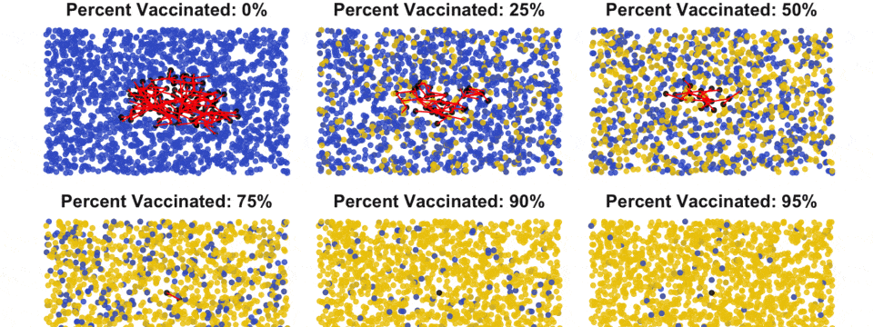 Miễn dịch cộng đồng và lý do chúng ta không nên xem thường việc tiêm vắc-xin