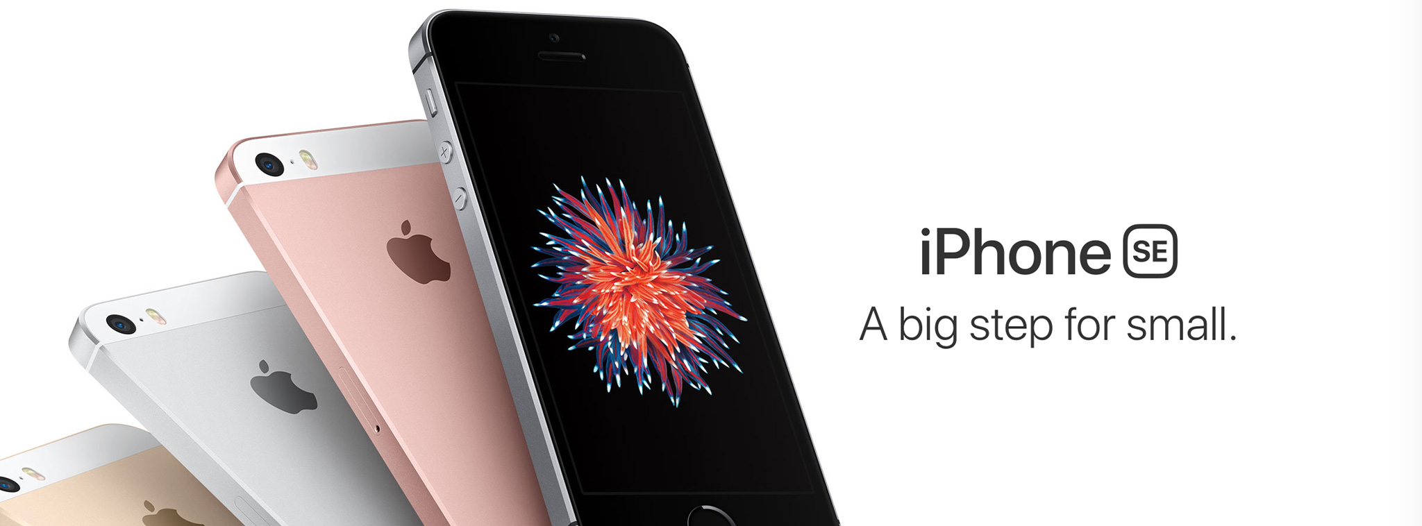 Apple có thực sự muốn duy trì dòng iPhone SE, và nếu có thì anh em có chấp nhận nâng cấp hay không?