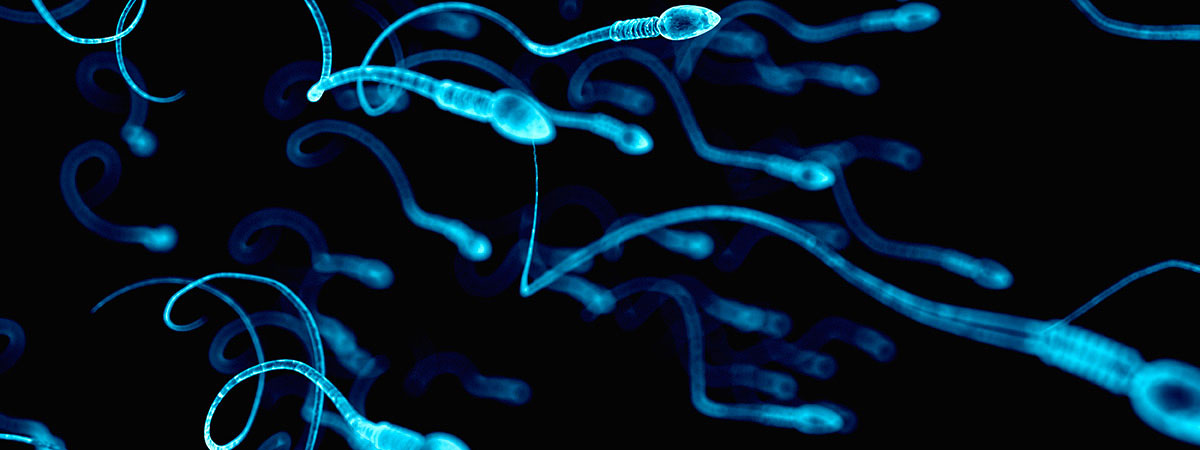 Tinh trùng của con người đã được tạo ra trong phòng thí nghiệm như thế nào?