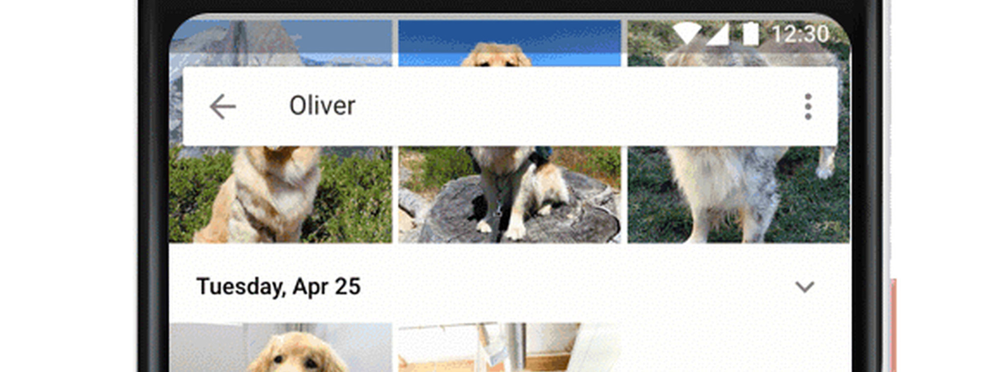 Google Photos đã có thể nhận diện thú nuôi, gom lại thành nhóm, tìm kiếm theo giống nòi