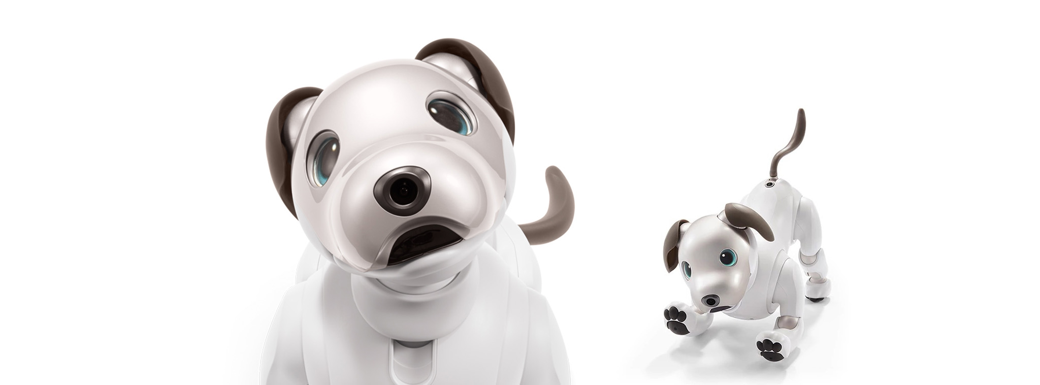 Sony hồi sinh AIBO: Chú chó robot, tích hợp AI, Deep Learning, Cloud Data, giá ~1.700 USD