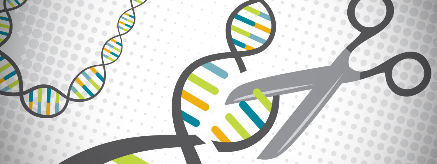 Công cụ chỉnh sửa gen CRISPR phiên bản 2.0 ra đời với khả năng chỉnh ARN và an toàn hơn