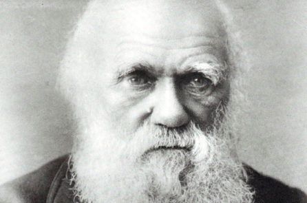9 lý do chứng minh thuyết tiến hóa của Darwin sai