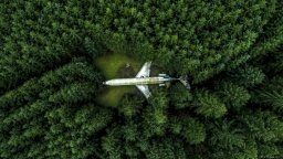 Plane in the Forest.jpg