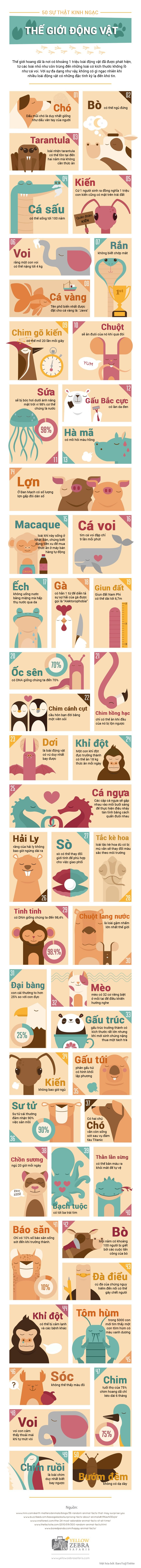 Đang tải 50-Mind-Blowing-Facts-from-the-Animal-World-Infographic.png…