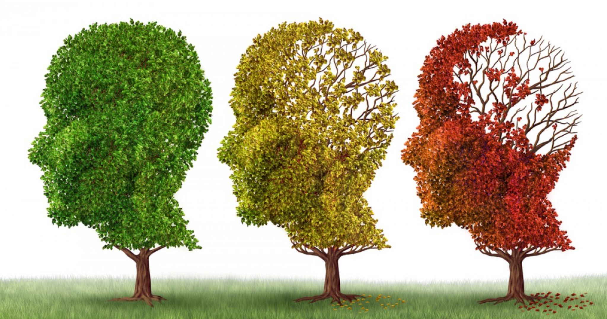 Một bài quiz nhanh về căn bệnh Alzheimer, căn bệnh làm cho trí tuệ dần dần theo gió cuốn đi