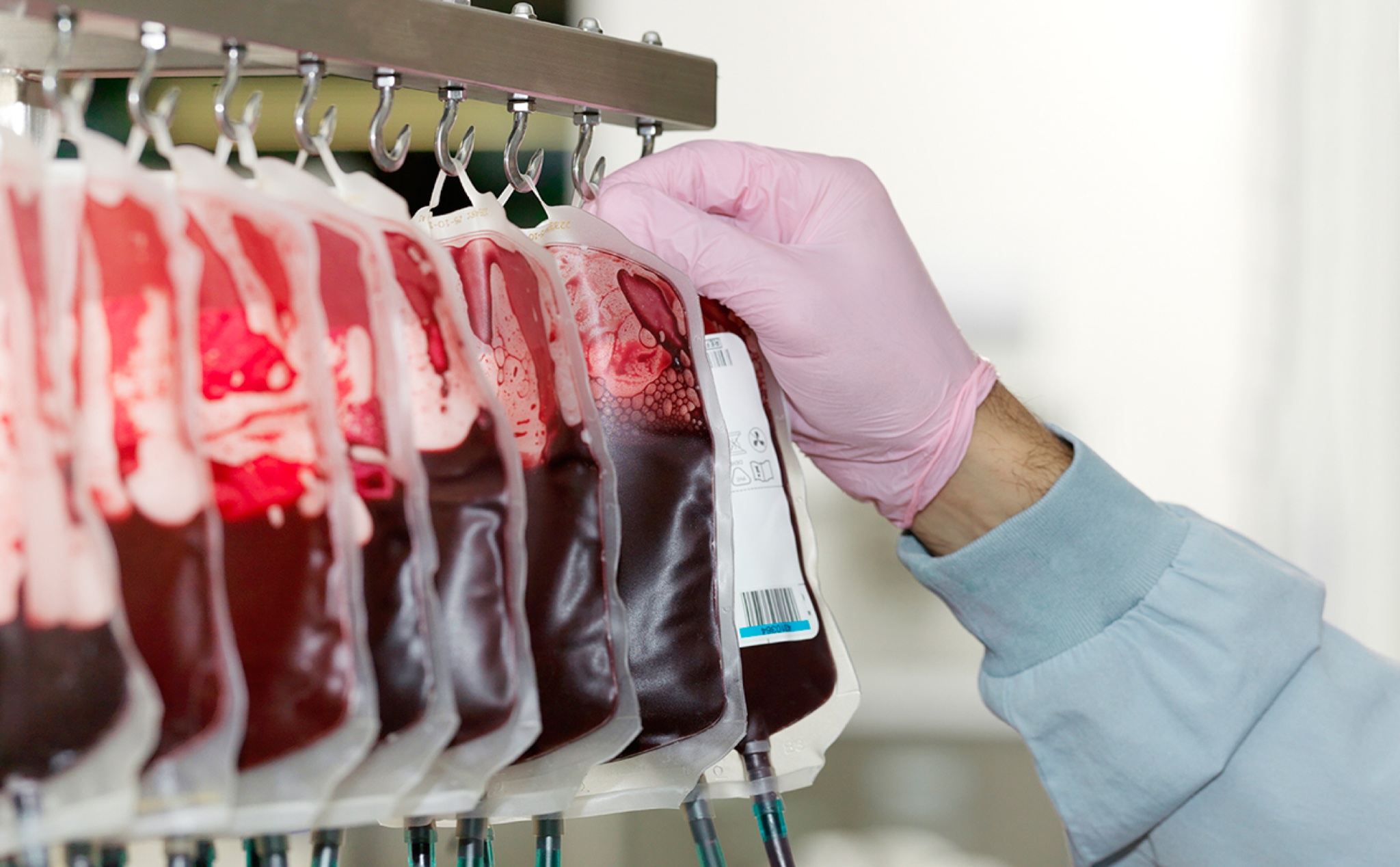 Dùng vi khuẩn, các nhà khoa học đã thành công trong việc biến máu A thành máu O