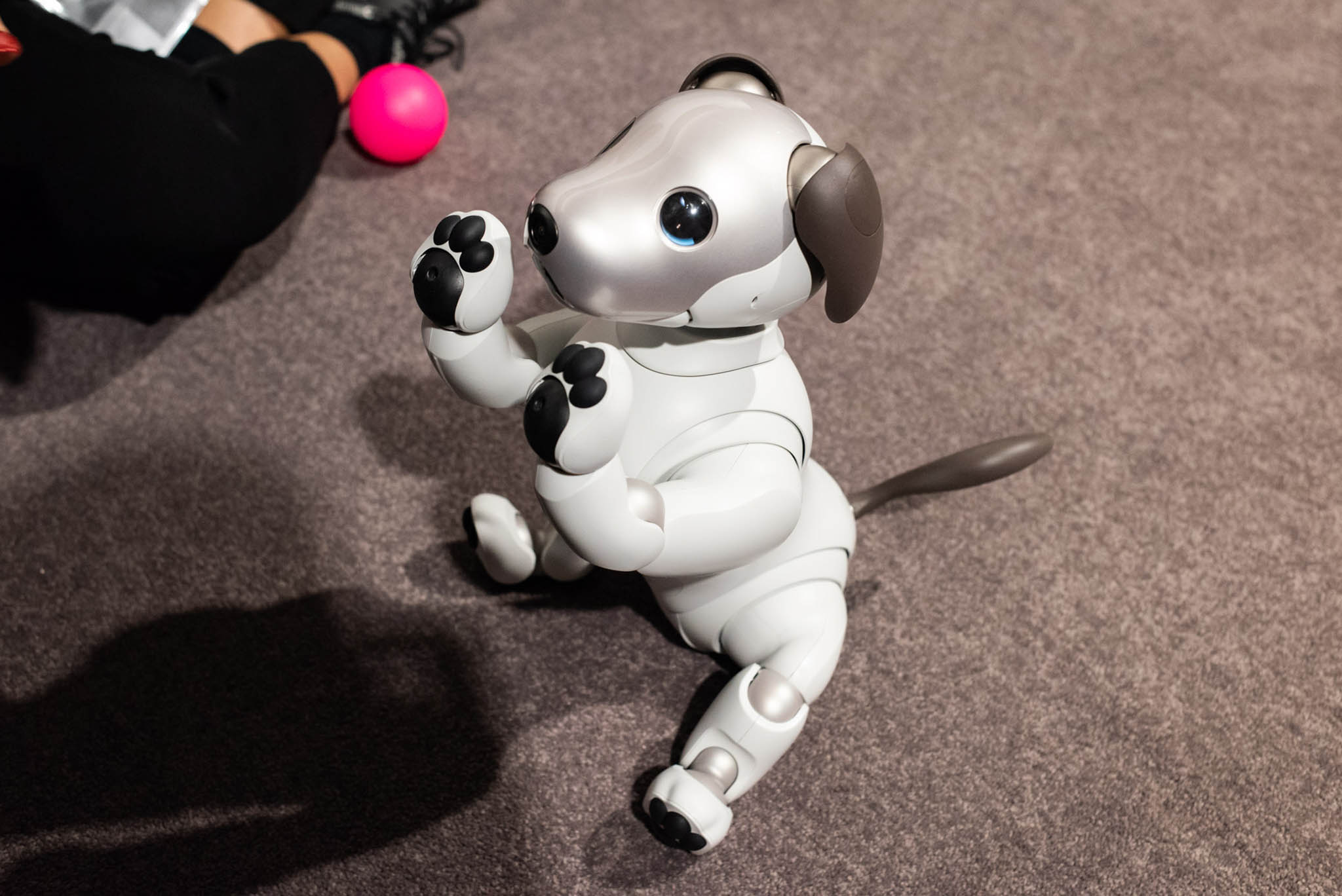 #IFA18: Sony Aibo - chó máy giờ đã dễ thương hơn, mắt có hồn và trí thông minh với AI