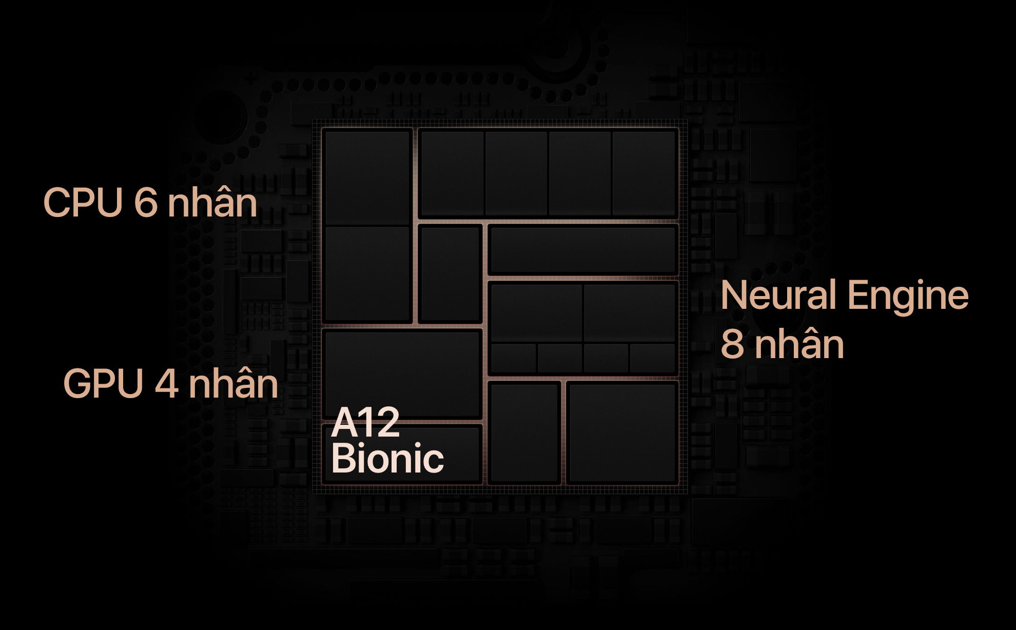 Neural Network mà chip A12 Bionic của iPhone Xs hỗ trợ là gì? Nó giúp gì được cho bạn?