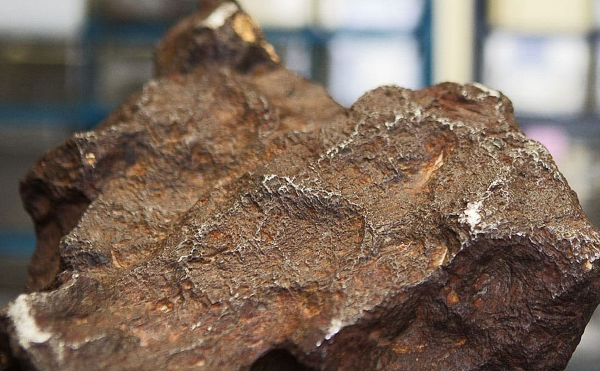 Một cục đá dùng chặn cửa suốt 30 năm hóa ra là thiên thạch trị giá hơn 100 ngàn đô