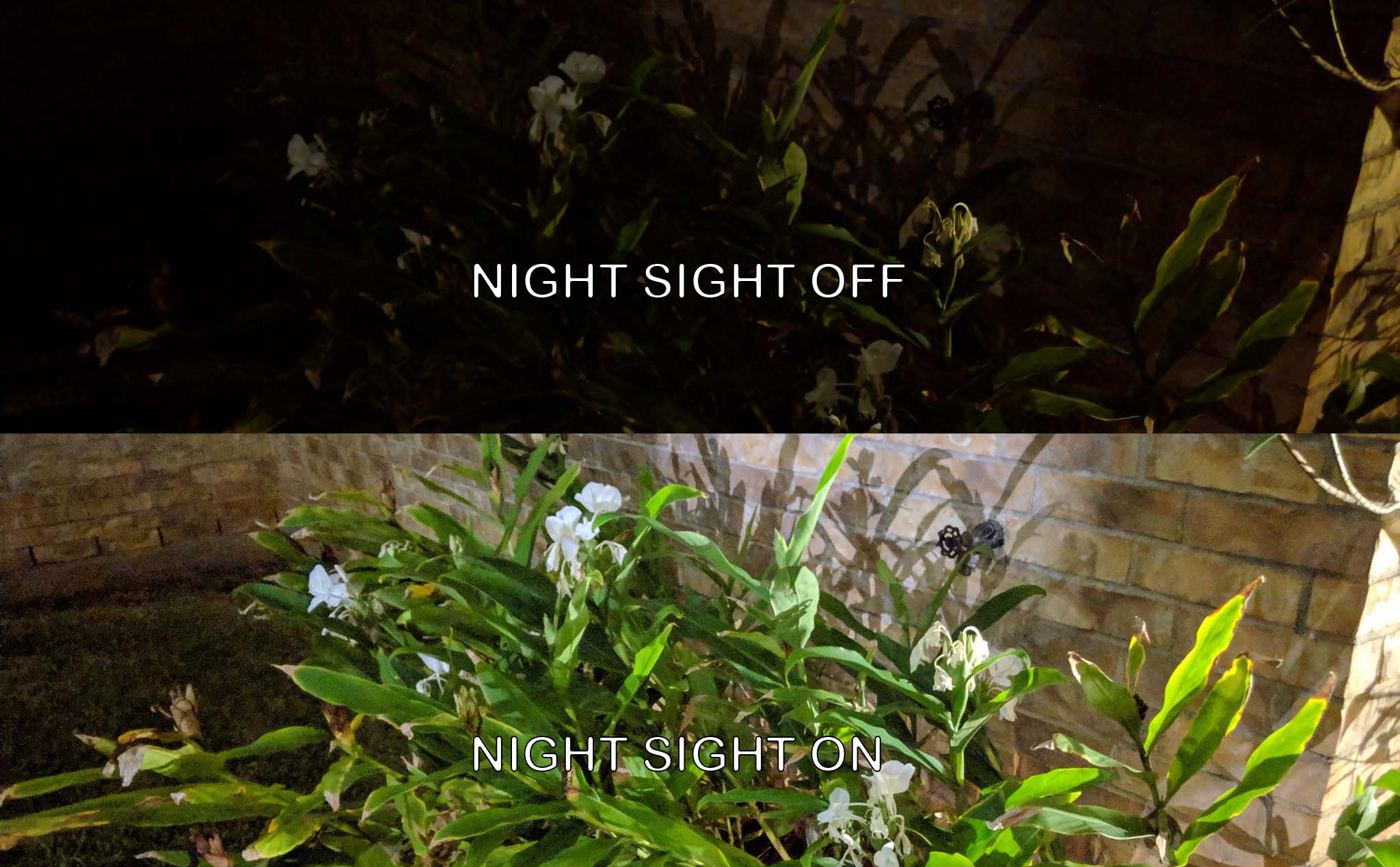 Google cập nhật ứng dụng camera với Night Sight: chụp thiếu sáng không cần flash, sáng như ban ngày!