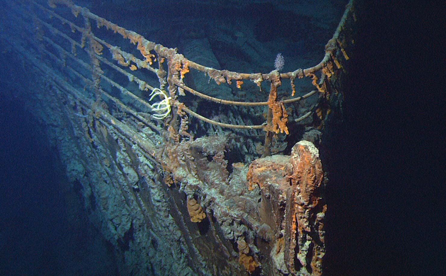 Quân đội Mỹ giải mật hồ sơ: đi tìm xác tàu Titanic thật ra là tìm 2 tàu ngầm hạt nhân thất lạc