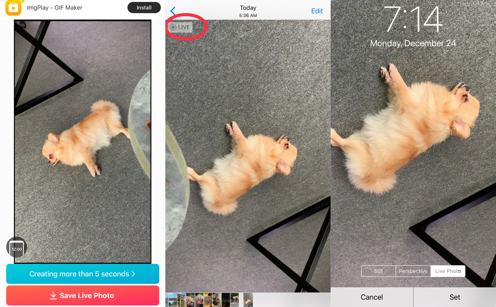 intoLive: ứng dụng cho phép bạn tự tạo Live Photo từ video bất kỳ để cài hình nền động trên iPhone