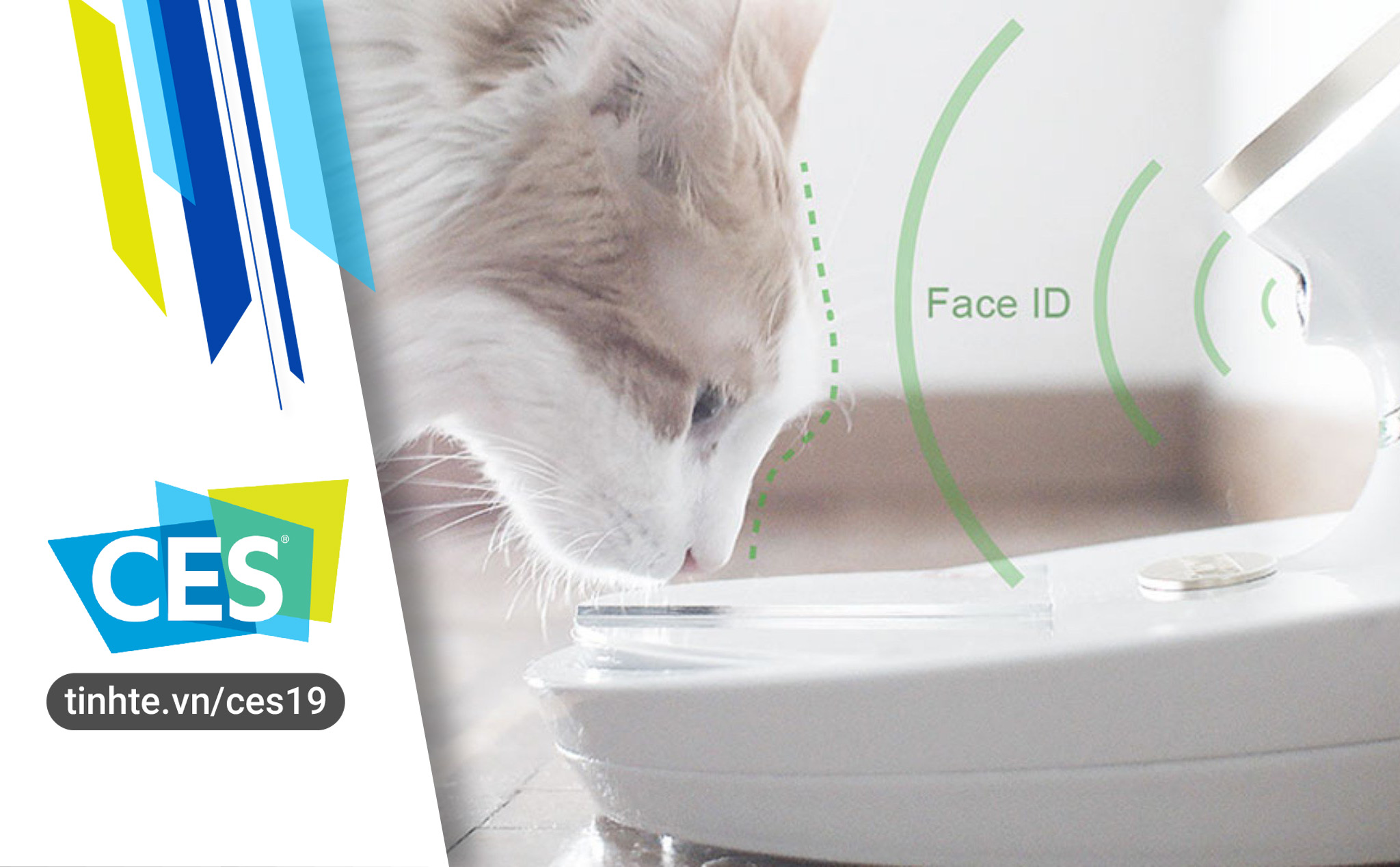 #CES19: Tô đựng thức ăn cho mèo sử dụng nhận diện khuôn mặt và AI để "chính chủ" mới được ăn