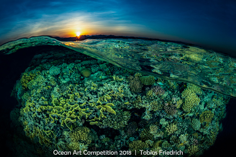 Đang tải 02 -Reefscapes_Tobias_Friedrich_SUNSPLIT.jpg…