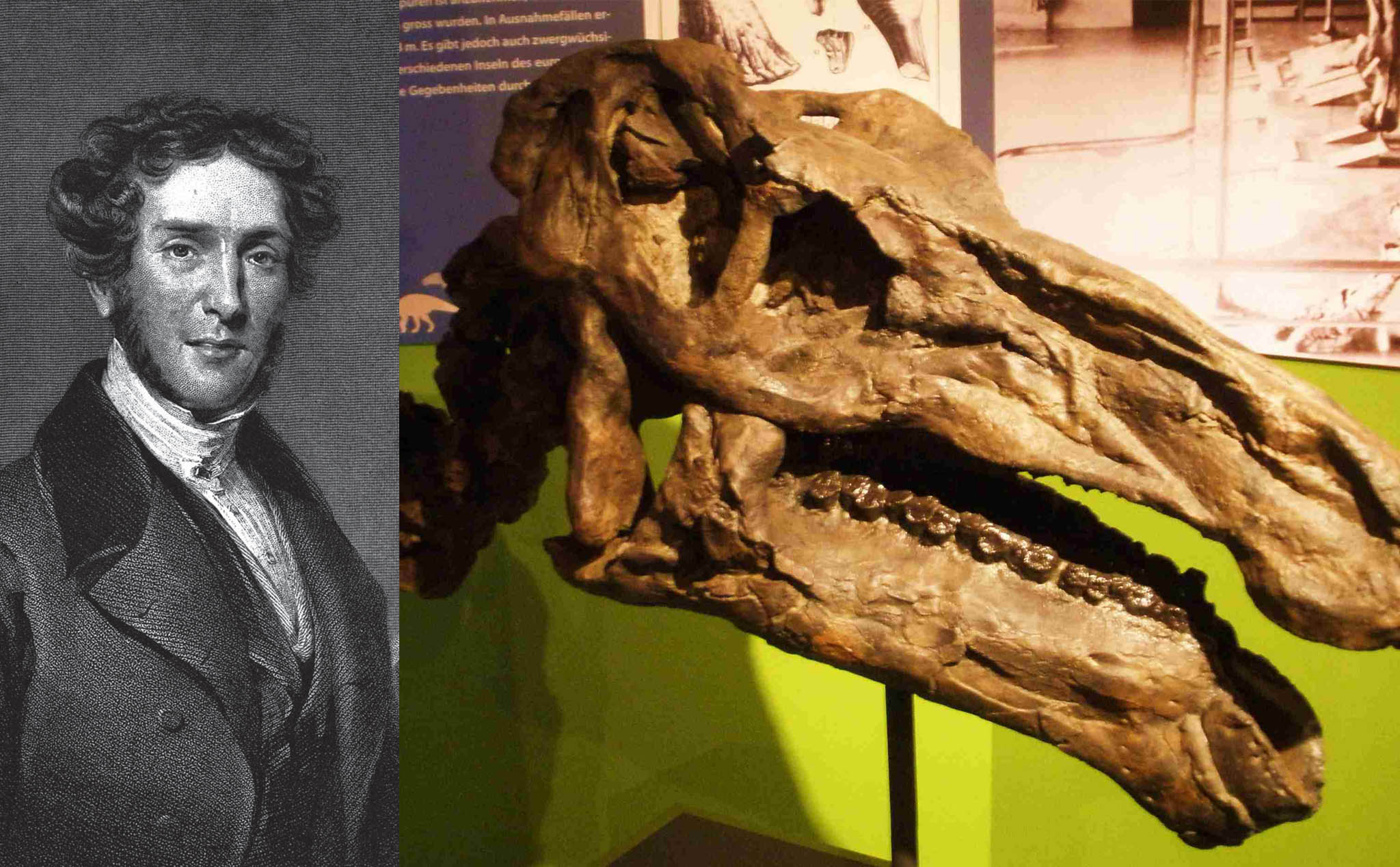Gideon Mantell: Nhà khoa học vô danh và tấn bi kịch sau khi phát hiện ra loài khủng long