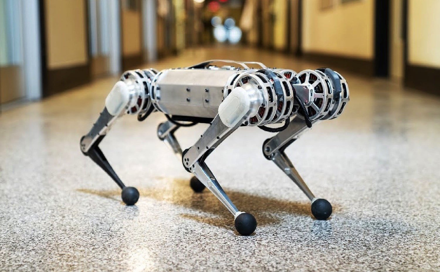 Robot mới của MIT có thể lộn ngược, vẫn đứng khi bị đạp hoặc thả trên cao xuống