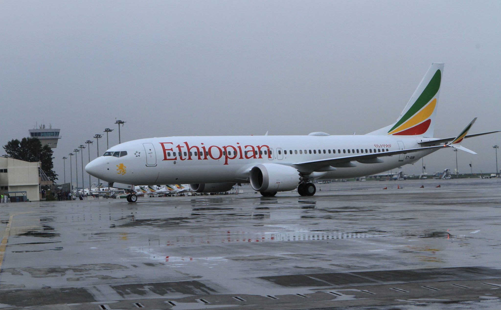 Thêm một chiếc Boeing 737 MAX 8 chở hơn 150 người vừa rơi ở Ethiopia. Cập nhật: Hiện trường