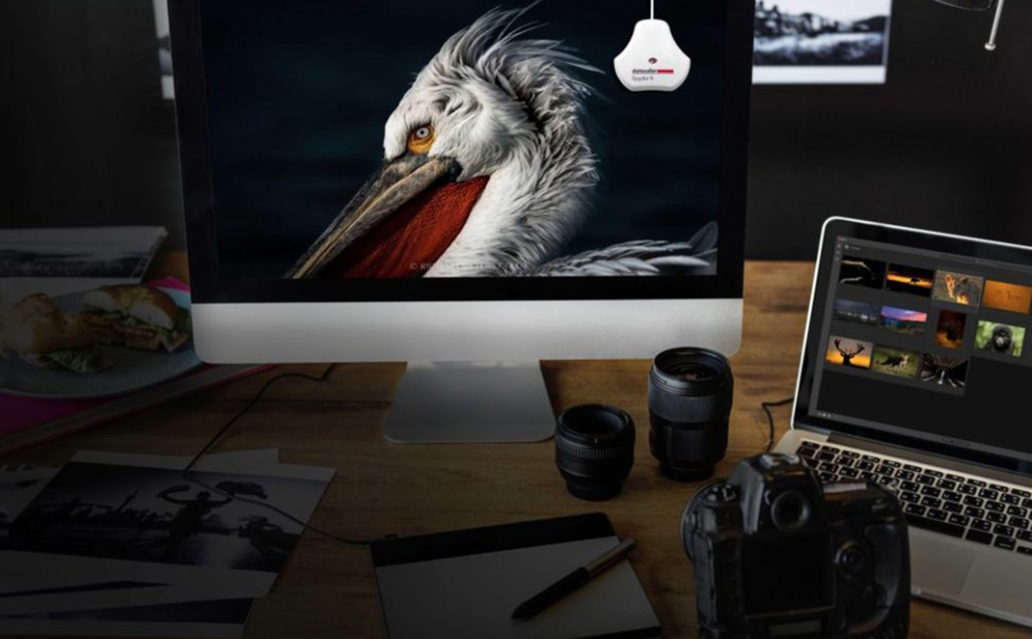Datacolor ra mắt bộ cân màu màn hình mới có tên SpyderX cho photographer, thiết kế đồ hoạ