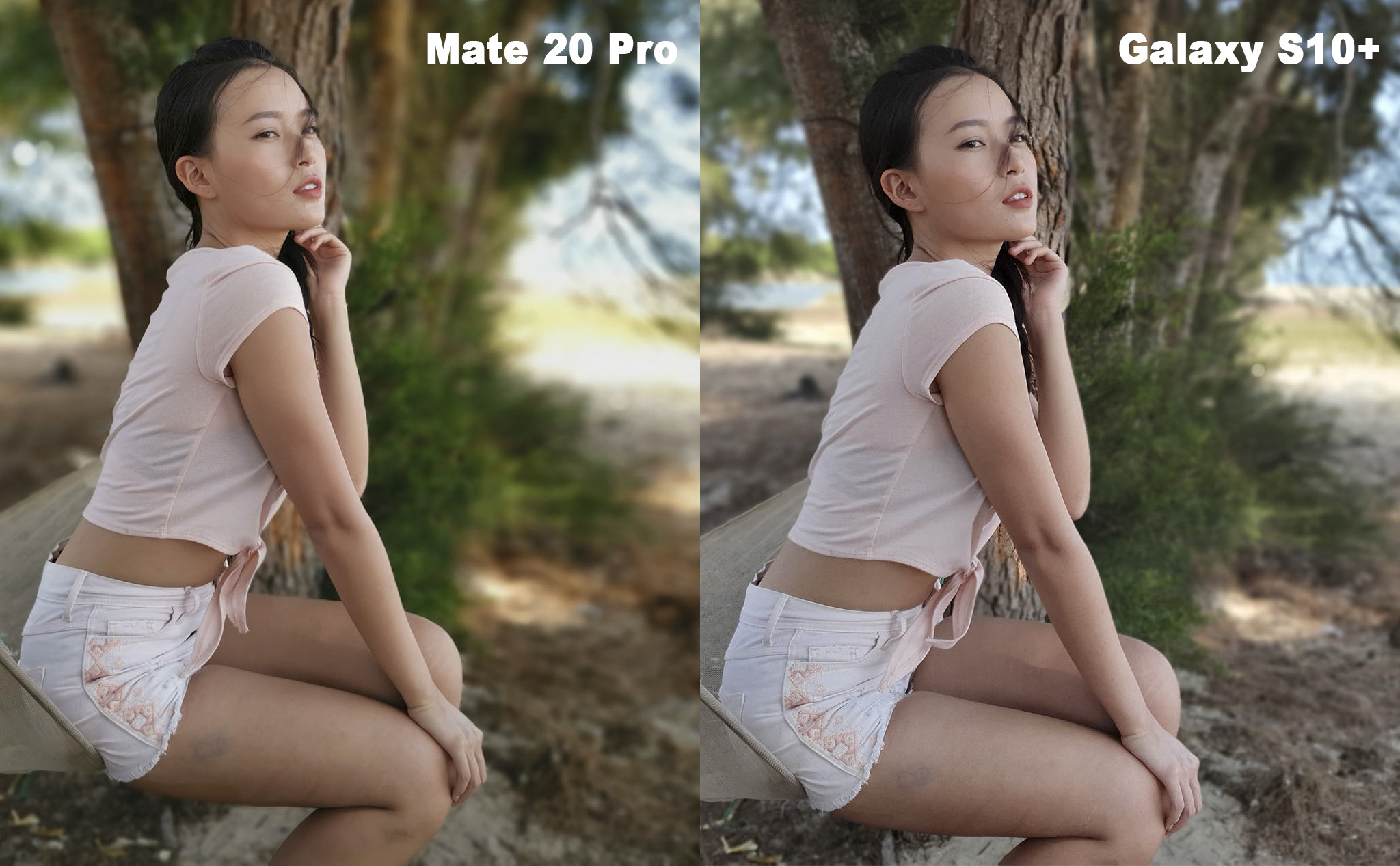 Kết quả so sánh camera: Samsung Galaxy S10+ và Huawei Mate 20 Pro