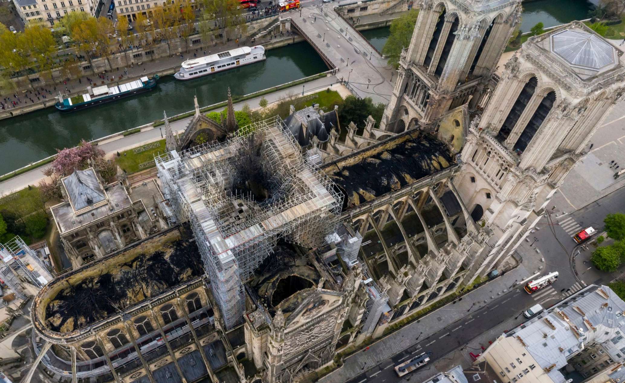 Nước Pháp không còn cây đủ to để làm lại mái nhà thờ Đức Bà
