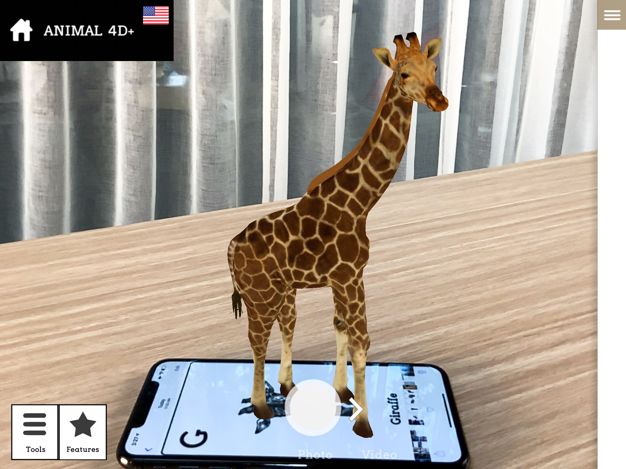 Hướng dẫn tạo động vật 4D bằng điện thoại với ứng dụng Animal 4D+: biết bò,  biết kêu