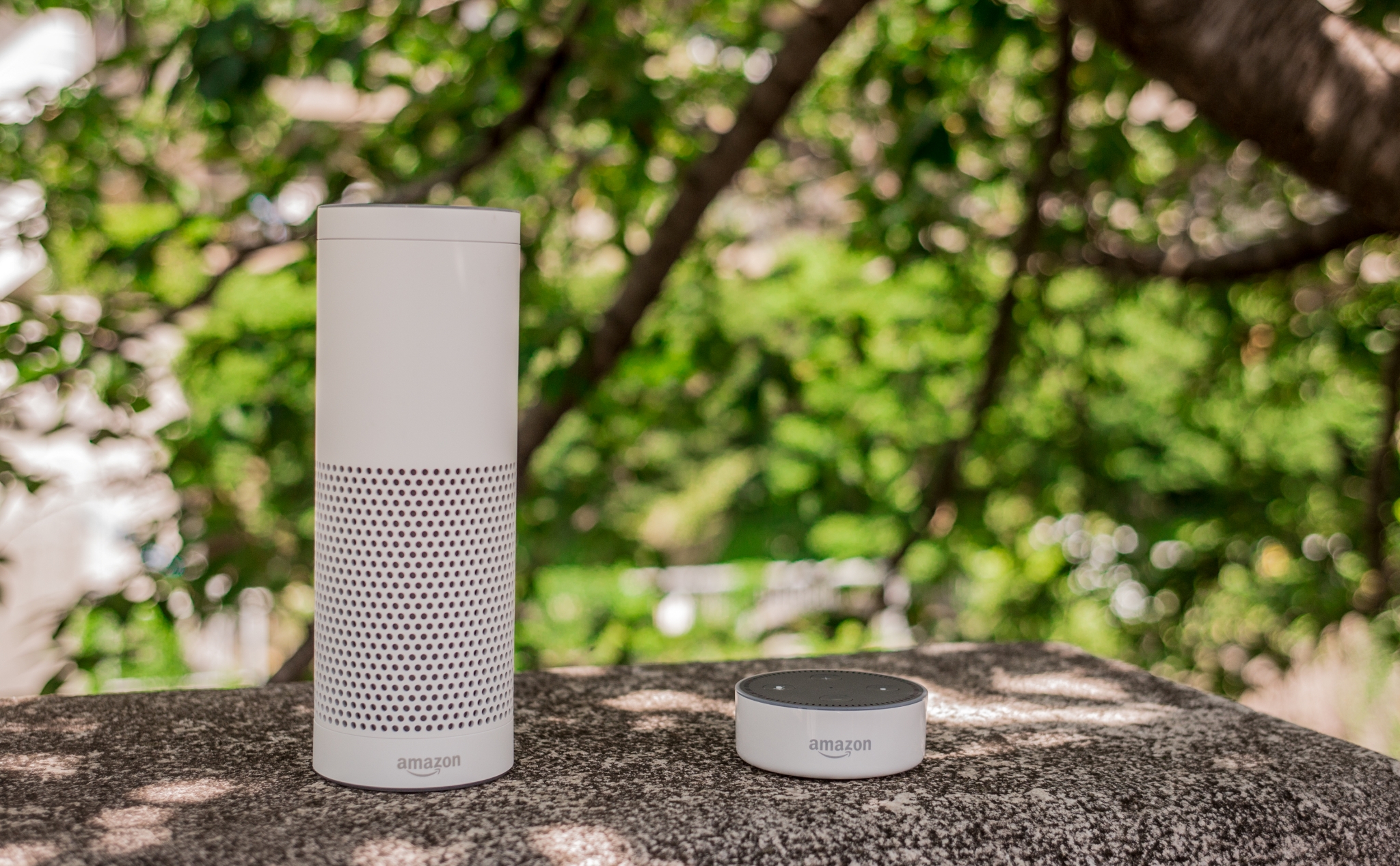 Amazon Alexa có thể nhận diện luôn giọng nói của người dùng mà không cần phải ra lệnh Hey Alexa