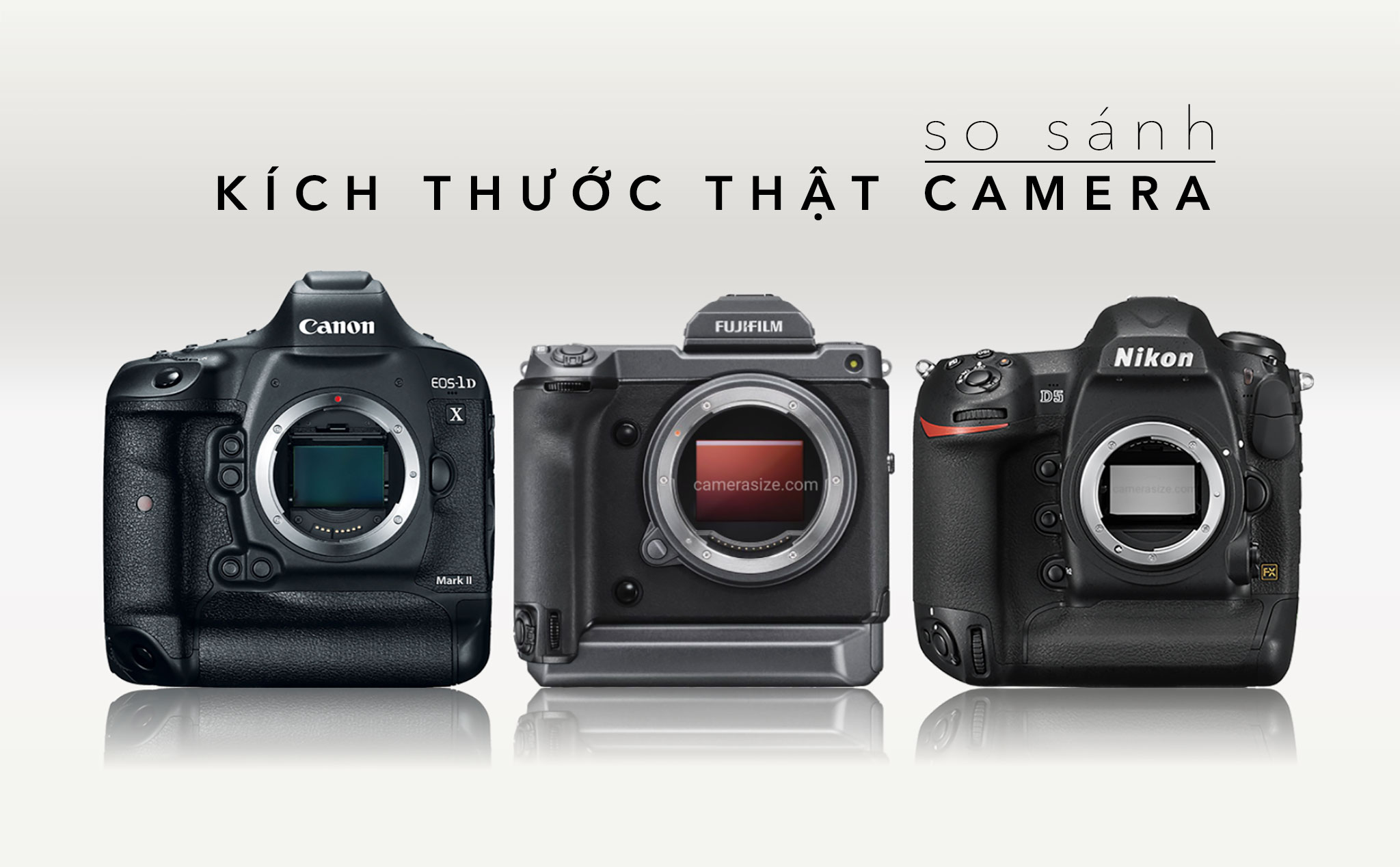 So sánh kích thước thật của Fujifilm GFX100 với các máy ảnh dòng chuyên & bán chuyên trên thị trường
