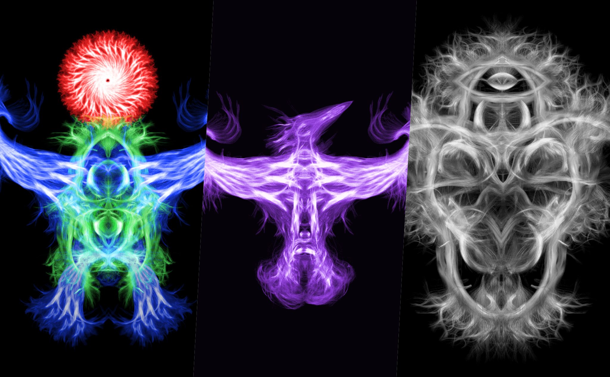 Những hình ảnh vẽ bằng máy cộng hưởng từ MRI
