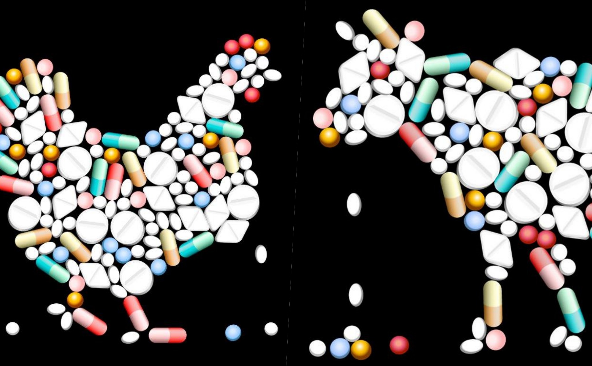 Liên Hiệp Quốc ra thông báo khẩn cấp về vấn đề kháng thuốc kháng sinh trên toàn cầu