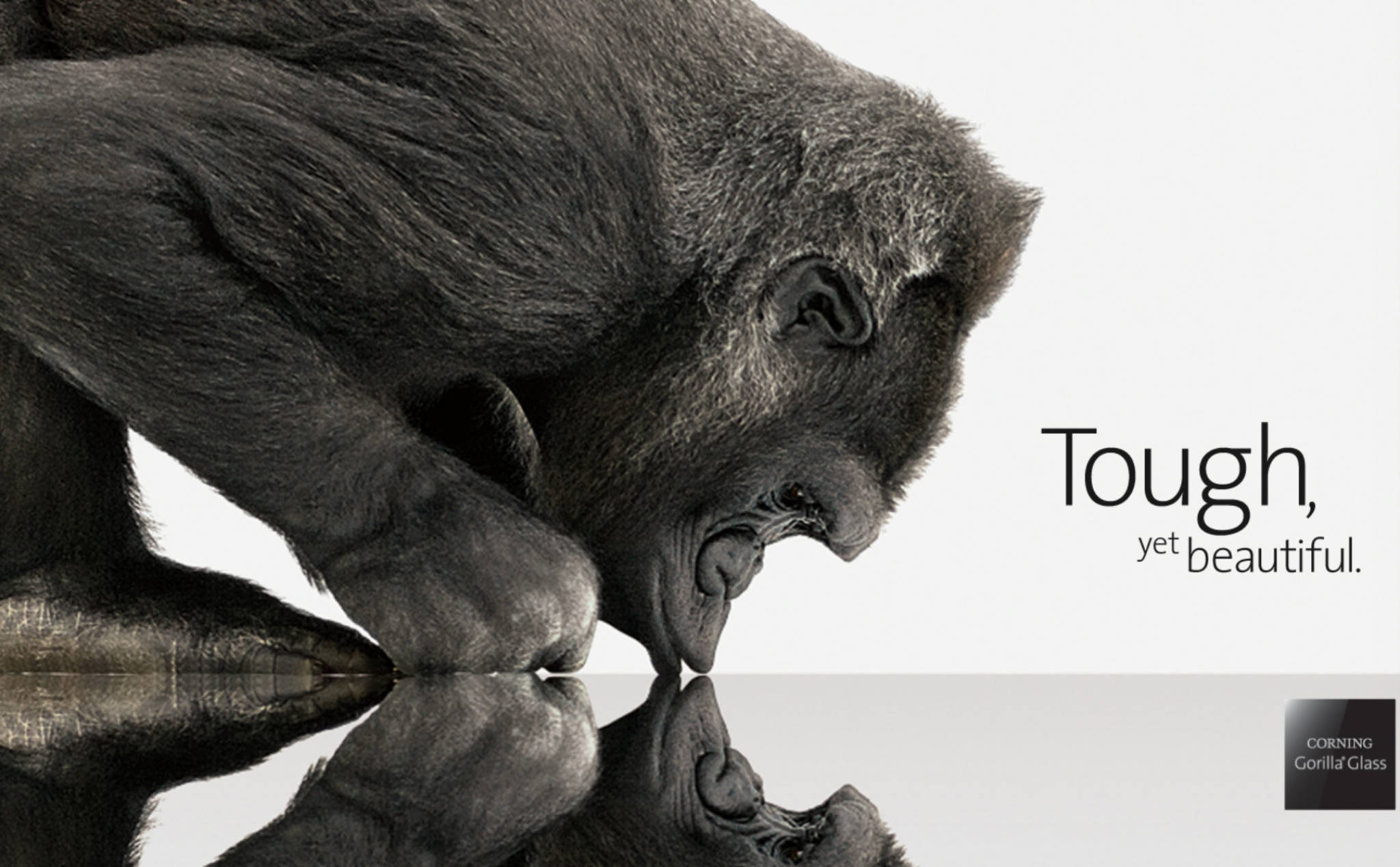 Kính Gorilla Glass đã trở thành tiêu chuẩn trên smartphone hiện đại như thế nào?