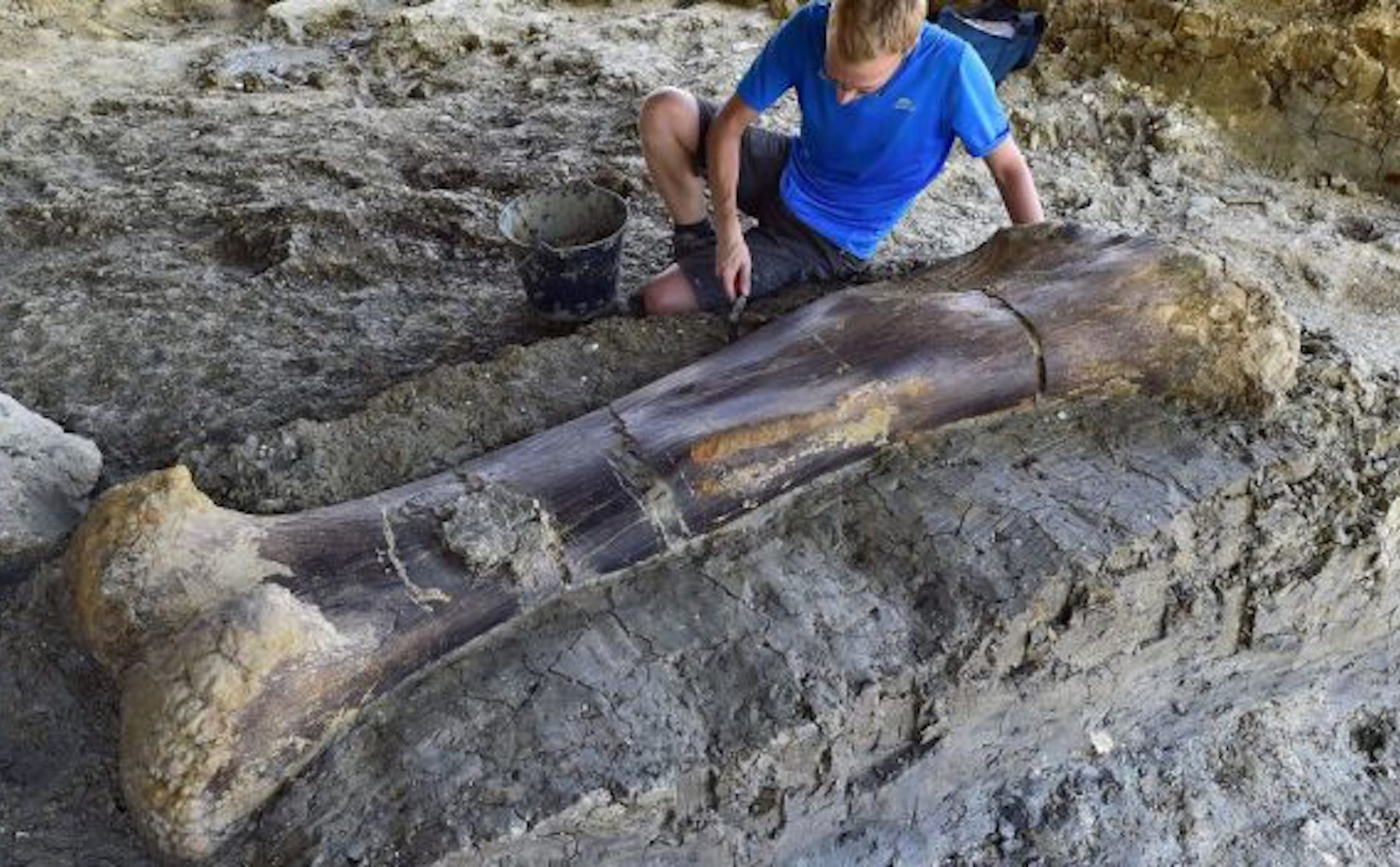 Phát hiện và khai quật xương khủng long nặng tới 1100 pound, trạng thái còn rất tốt  tại Pháp