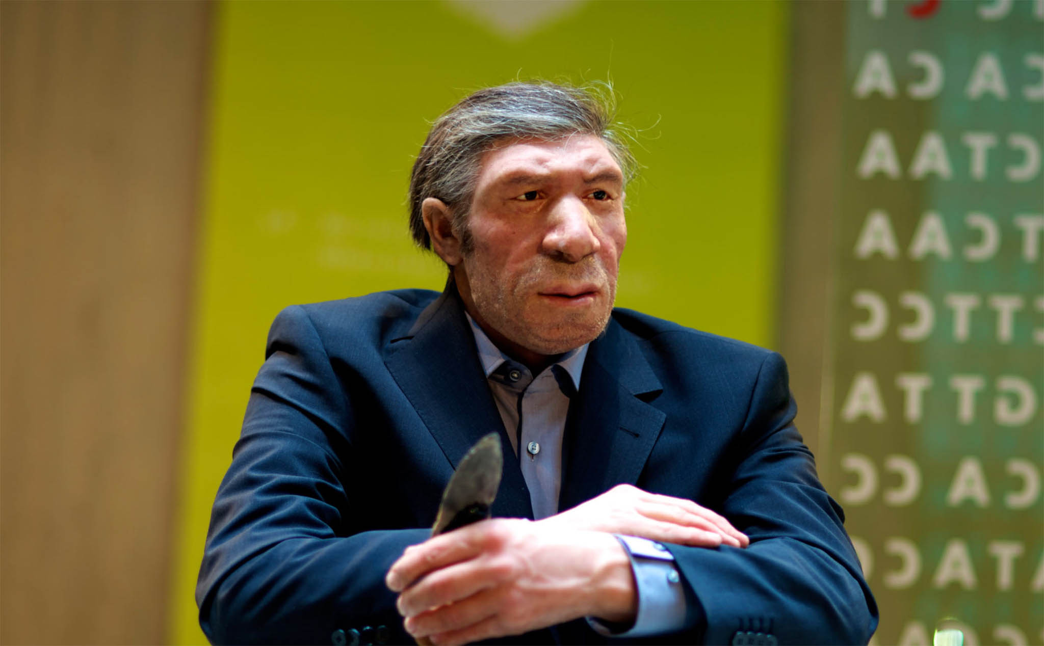 Người Neanderthal có thể đã tuyệt diệt do nhiễm trùng tai