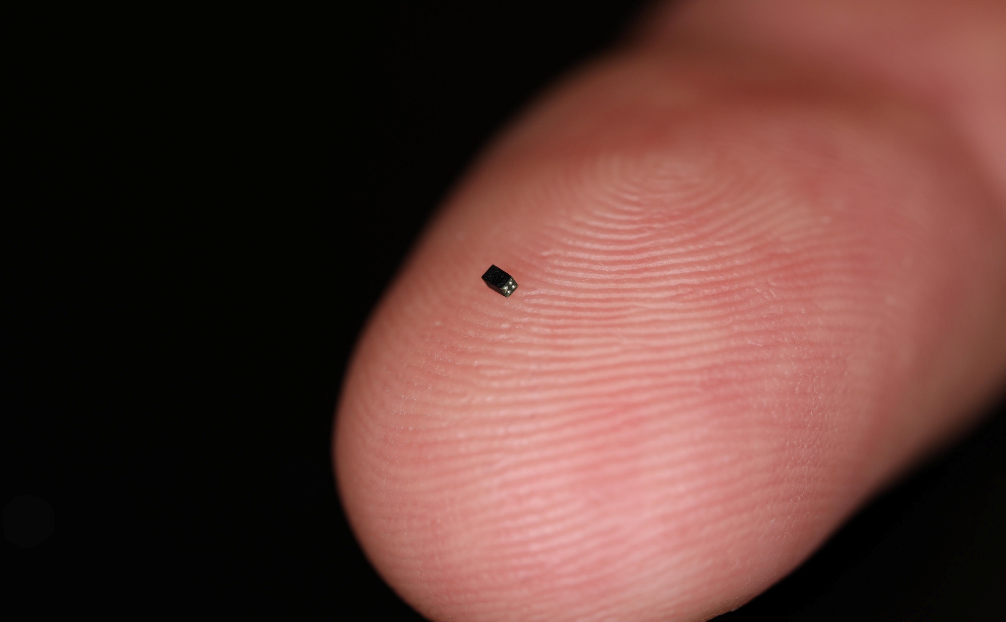 Đây là camera nhỏ nhất thế giới: cỡ hạt cơm tấm, quay video 200 x 200px 30fps
