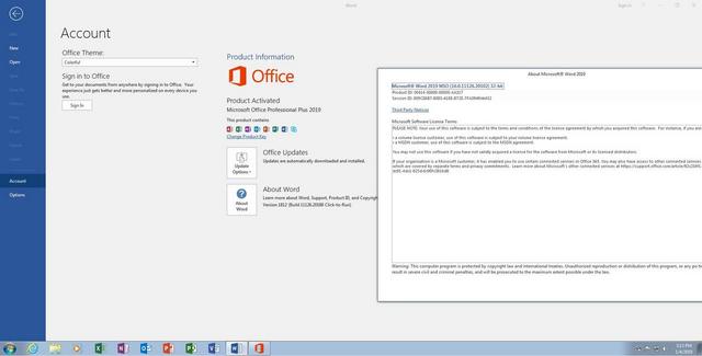 4819233_Microsoft_Office_2019_Pro_Plus.jpg