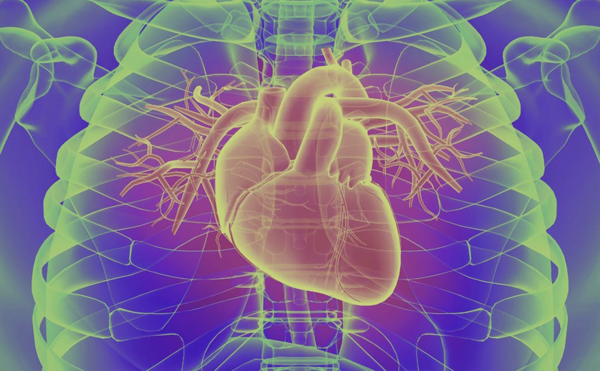 Nghiên cứu: Sử dụng cần sa có thể gây hư hại cấu trúc tim