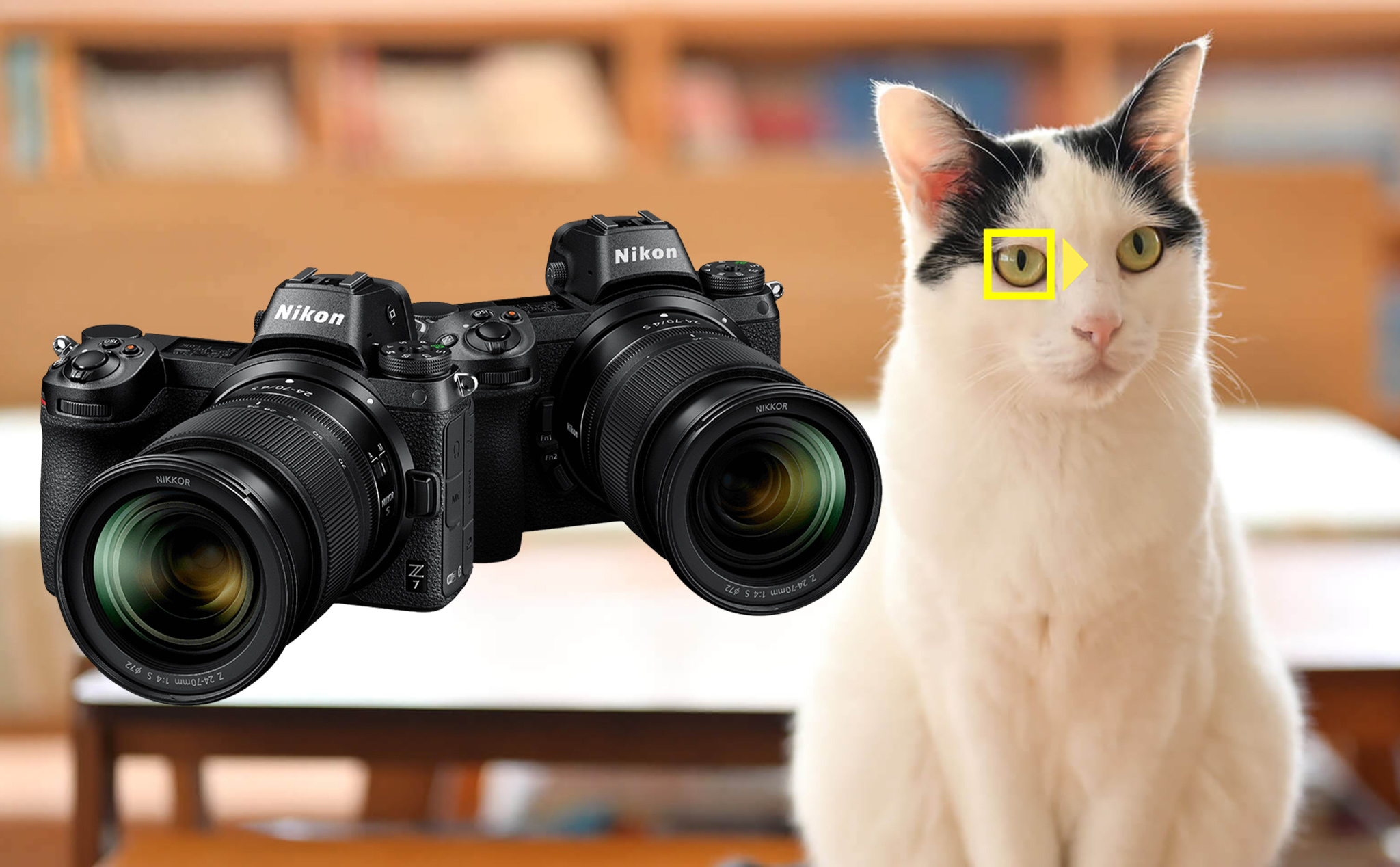 "Quàng thượng, hãy vui lên!" Nikon Z6/Z7 đã lấy nét tự động mắt động vật rồi đấy!