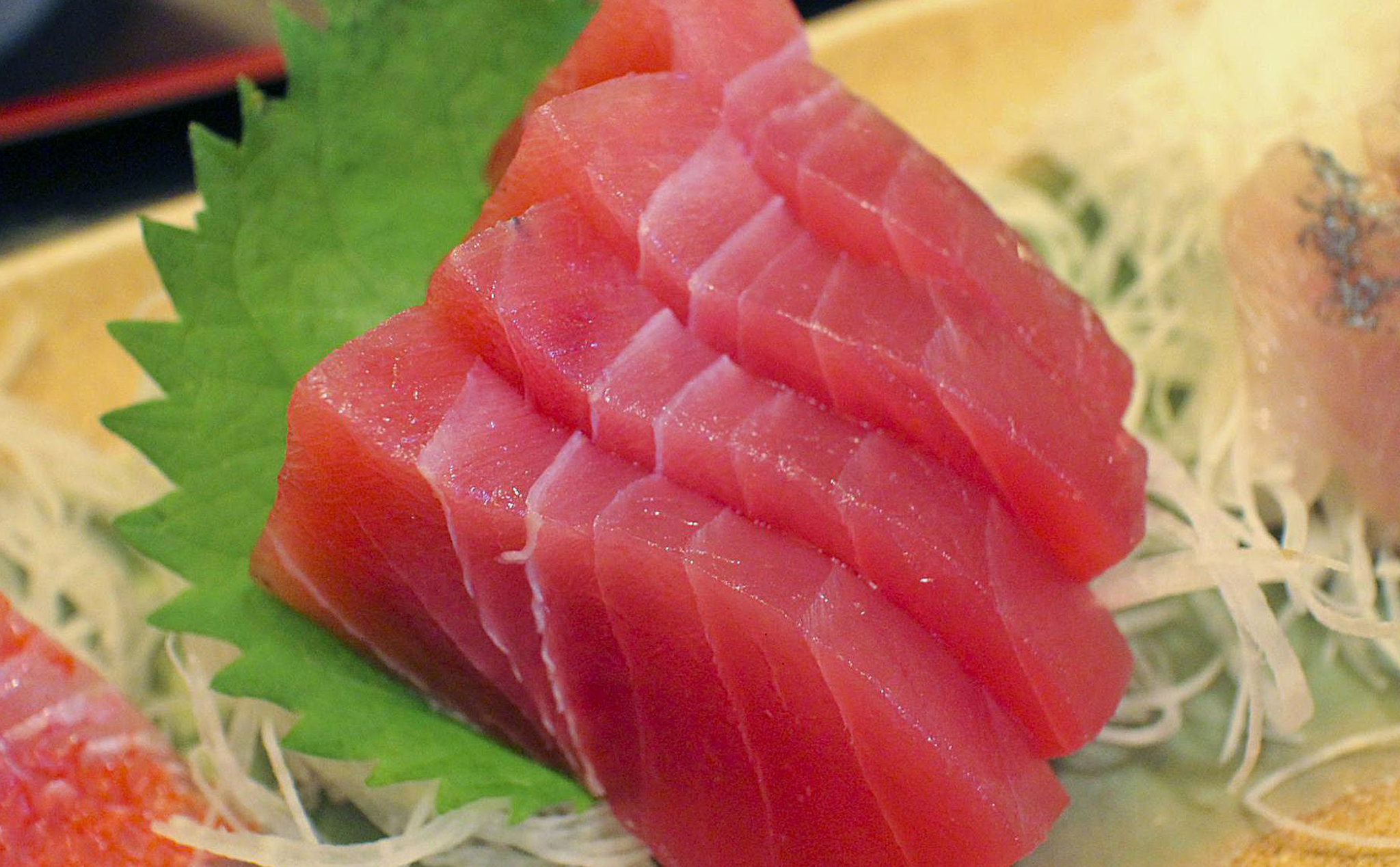 Nghiên cứu: cá biển chế biến sushi có lượng ký sinh trùng tăng 283 lần so với cách đây 40 năm