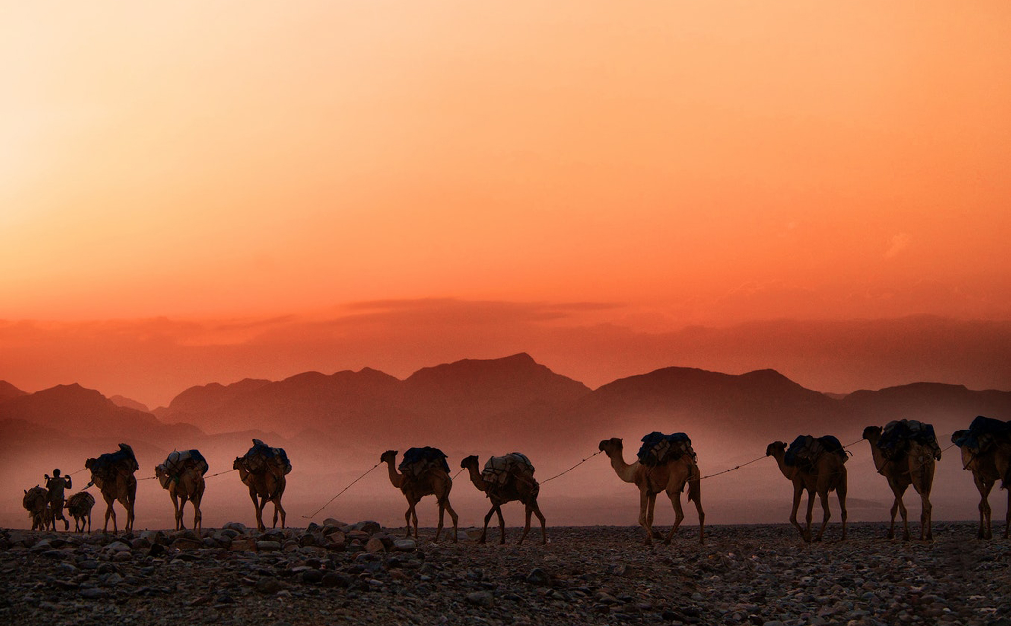 Năm 2070, khoảng một phần ba dân số thế giới sẽ sống với nhiệt độ tương đương sa mạc Sahara