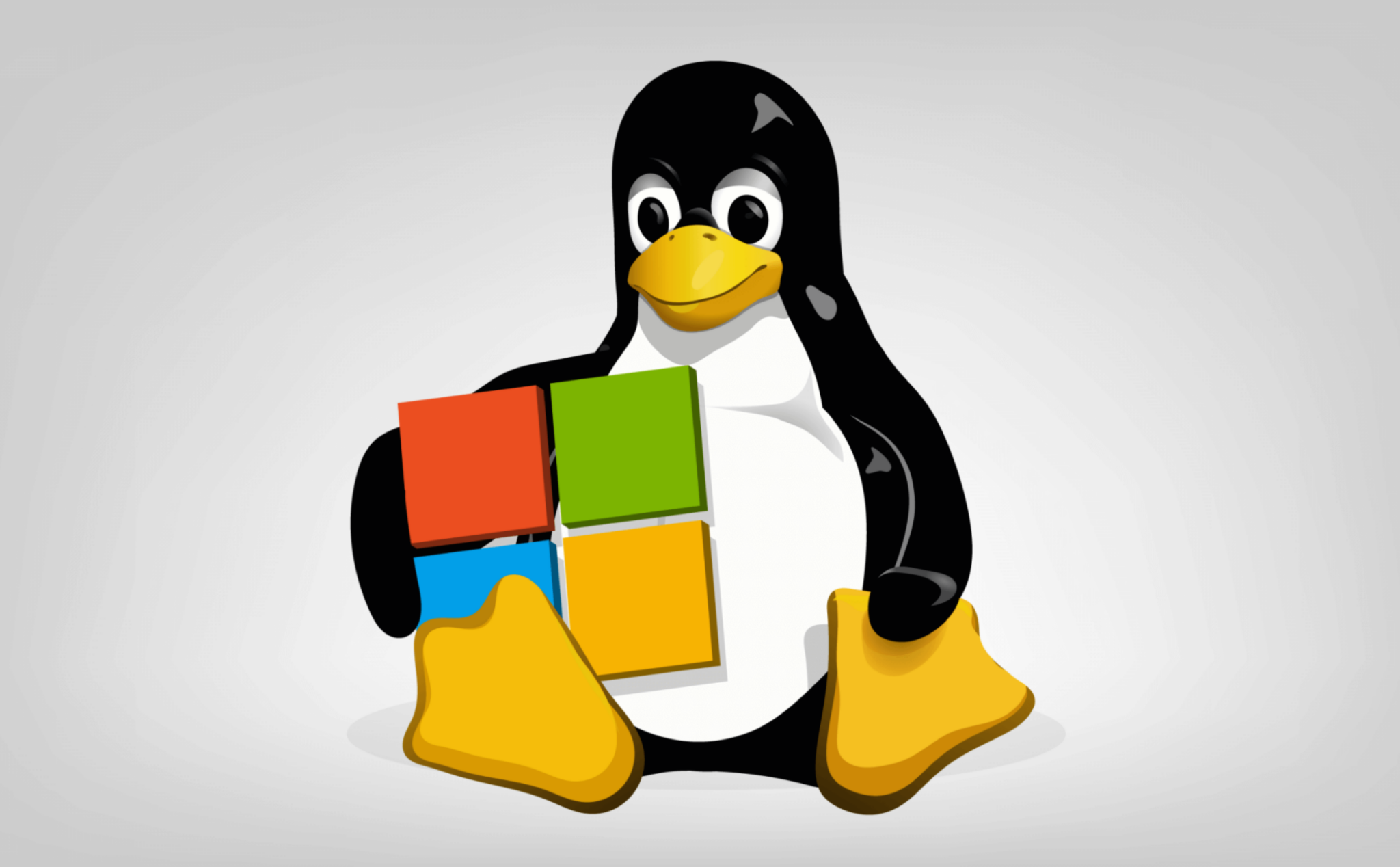 Microsoft: từ đối địch trở thành đồng minh thân cận nhất của Linux