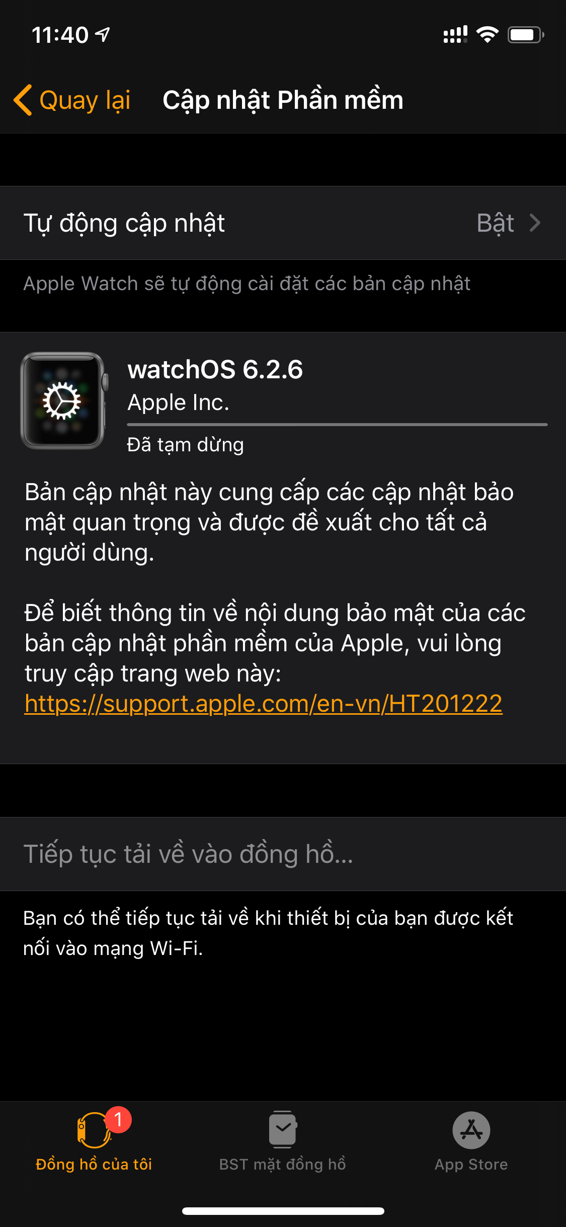 CÓ WATCH OS 6.2.6
