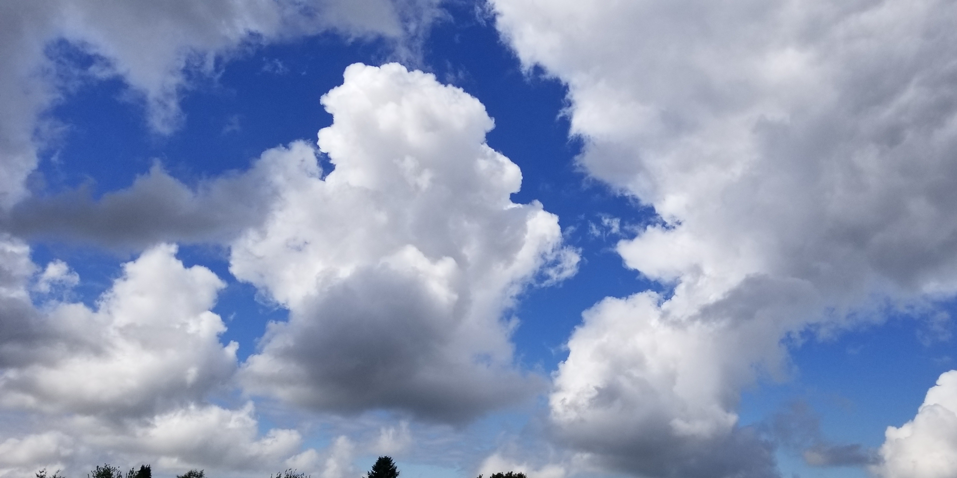 Chỉ chụp mây
