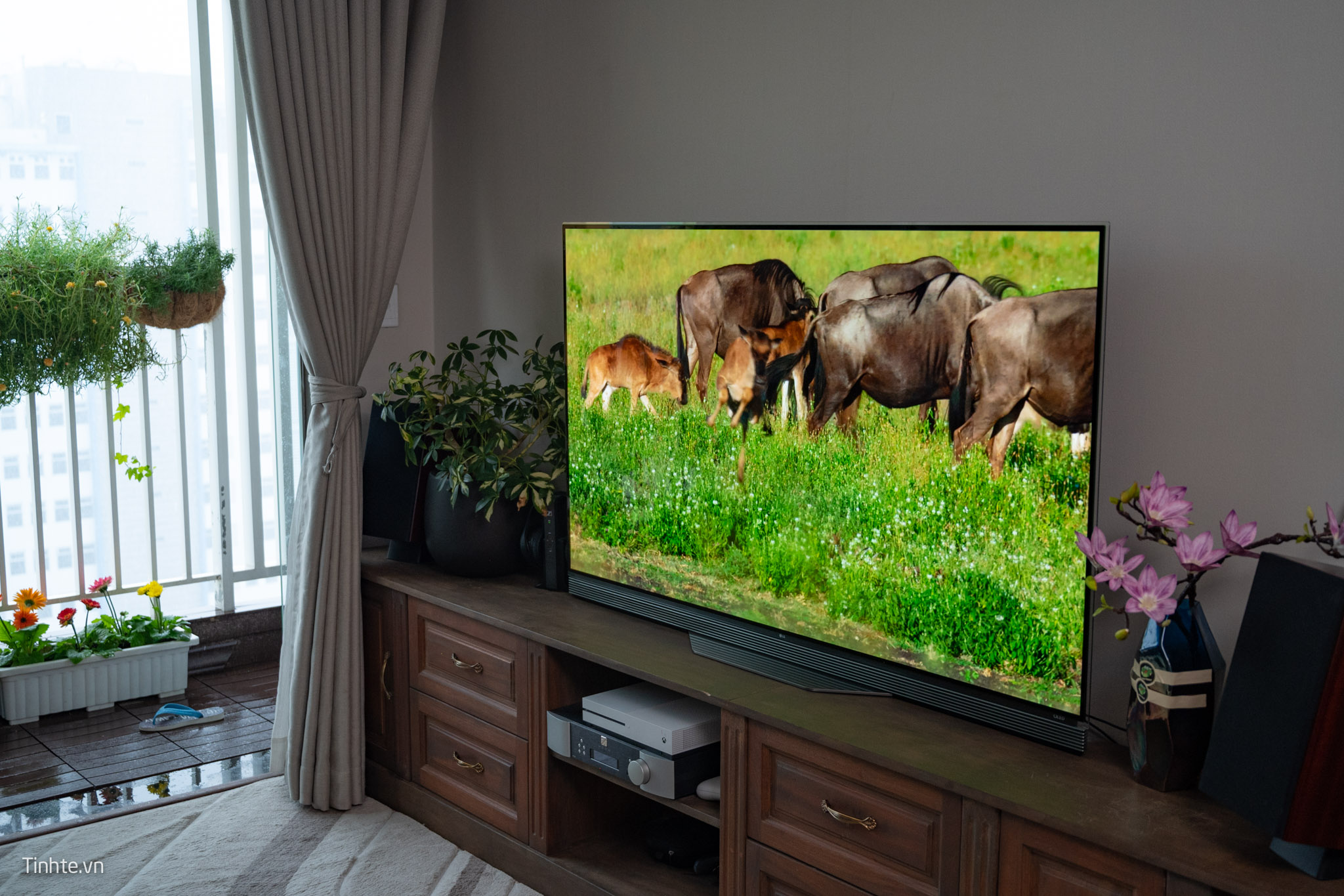 Đánh giá TV LG OLED E6 65" sau hơn 3 năm sử dụng: vẫn tốt chán