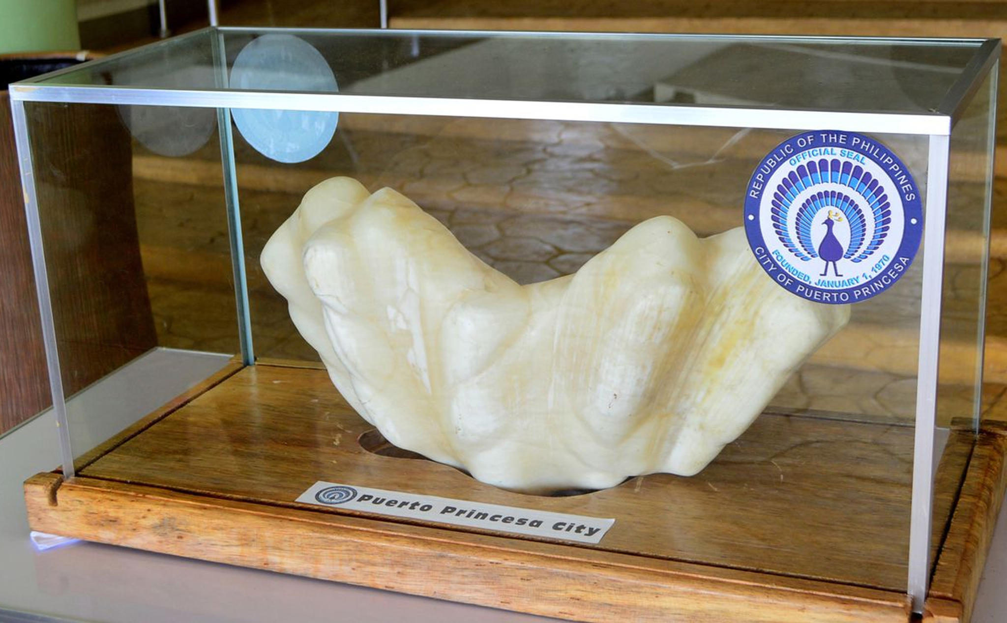 Đây là viên ngọc trai khổng lồ nặng 34kg từng được phát hiện tại Phillipines